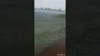 Rain Falls in Lake