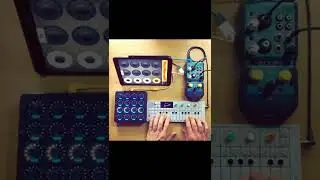 Live Looping on iPad w/ OP-1 and Loopy