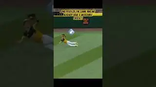 UNREAL CATCH at LLWS!!! #baseball #mlb #llws #kids #impossible