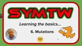 So You've Moved To Wales...Lesson 6 - Mutations