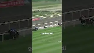 Stay Gold LANDS the G1 Hong Kong Vase!