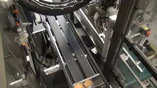 20267 BluePrint Automation (BPA) Case Packer Gantry 100