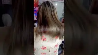 highlights silver grey ash blonde with base clr 🥰😍 #punjabi #hairstyle #mehndimakeup #hair