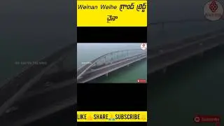Weinan Weihe Grand Bridge, China #bridge #ytshorts #shorts #rsfactstelugu
