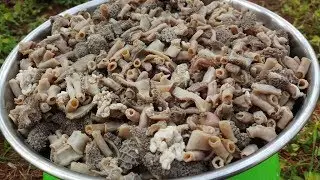 Cooking Goat Intestine Curry Gravy Recipe / Village Style Recipe