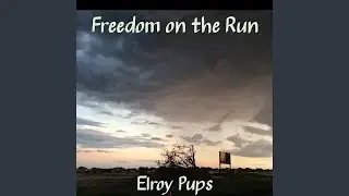 Freedom on the Run