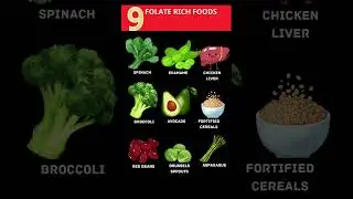 Folate Rich Foods