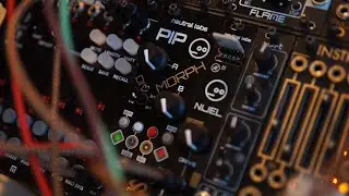 5 Patches with PIP by Neutral Labs