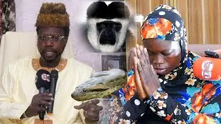 Djinné djibril ak le khalifa général des djinné Thierno Moulé Sow regardez...