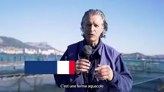 Conseil d'administration &agrave; la ferme aquacole Cachalot - Balaguie