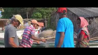 How I See GOA Goan People Daily Lifestyle Near Morjim Beach An Documentary Film In Nepali Vlog.