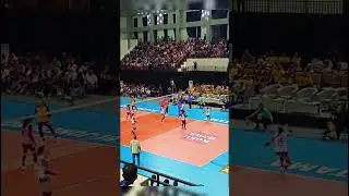 touch out dari neng Guerra #bjbvphoskaplus#proliga2026#voliindonesia