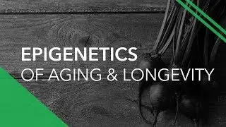 Epigenetics Of Aging & Longevity