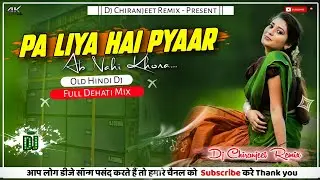 Pa Liya Hai Pyaar Tera - Remix | Old Hindi Dj Song | Full Dehati Mix | Dj Chiranjeet Remix