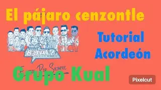 El pájaro cenzontle, TUTORIAL, Grupo Kual, acordeón BESAS cinco letras