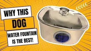 Review & Demo of Large Dog Water Fountain Stainless Steel