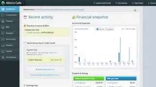 Wave Accounting Software Video Review