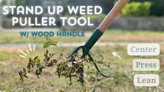 Stand Up Weed Puller w/ Plywood Handle Cast Steel Claws No Bending over or Kneeling | Rake, Weeder