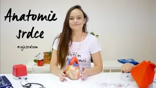 Anatomie lidského srdce  | #zijessrdcem