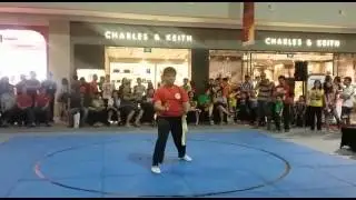 Kaka - Samchien Taiji Tuisho 2015 Solo Paragon