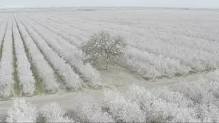An orchard selfie could cost you $1,000, Solano County Sheriff says