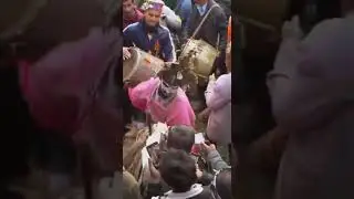 manali or  kullu ki fagli