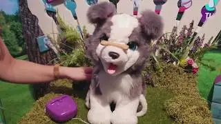 FurReal Friends Ricky Trick-Lovin Pup: Cuter than the Real Thing?