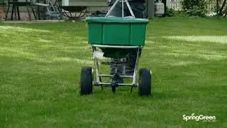 Spring Green: Your Local Lawn Care Experts Since 1977