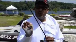 GT BIO     (Fishing Lures)