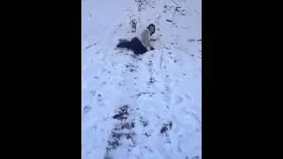 Tom sack sledging