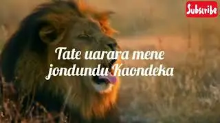 Wild Dog's Kaondeka Song 2004