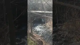 a bridge over water #nature #asmr #relax #breathe #runningwater #mindfulness