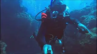 Scuba Gear Basics: What You NEED to start diving 