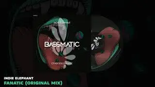🔊Indie Elephant - Fanatic (Original Mix) | Bassmatic Records