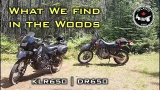 Exploring the Woods of Dromore-KLR650-DR650-ISLAND ADV