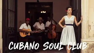 Son Cubano Playlist 🌙 Havana Nights Romance with Smooth Cuban Jazz Vol.37