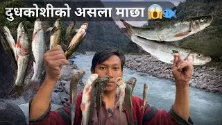 दुधकोशीमा आज यत्ति धेरै असला माछा मारियो 😱🐟 | So Many Asala Fish Caught Today in the Dudhkosi 