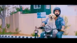 777 Charlie Full Movie In Hindi Dubbed Review & explain story | Rakshit Shetty | Sangeetha | Bobby S