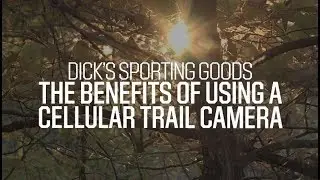 The Benefits of Using a Cellular Trail Camera | Pro Tips by DICK'S