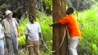 Kilombero Valley Teak Company - First site visit May 1990
