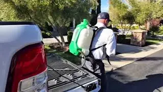2026 Romeo Pest Control Testimonial
