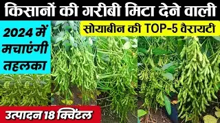 सोयाबीन की बेस्ट👌वैरायटी | Soyabean Top-5 Variety | Soyabean ki kheti, Soybean ki new kismen