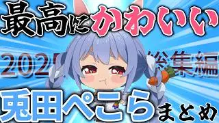【総集編】実は最強で女神級に可愛いぺこーらの2025年厳選シーンまとめ【ホロライブ切り抜き/兎田ぺこら】