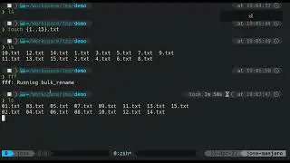 How to bulk rename files using Vim and FFF