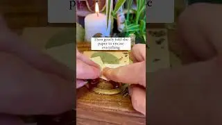 One of my favourite spell for green witches! #witchtok #witchcraft #spells #spirituality
