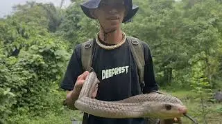 RELEASE MOUNTAIN RATS SNAKE .. INVITE KOPO KAYO GUYS. SM LUCENA .MAY 31. REPTILE EVENT.
