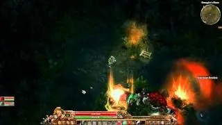 Grim Dawn - Gutworm vs. LVL 25 HC Summoner