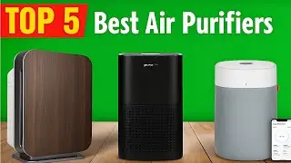 TOP 5 Best Air Purifiers 2026