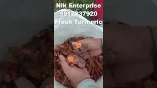 Buy Organic Fresh Turmeric in India through Nik Enterprise #omnamahshivaya #turmeric #ginger #food