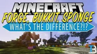 What Is The Difference Between Sponge, Forge, & Bukkit Servers?
